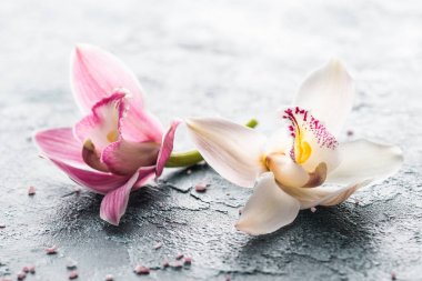 绍兴丝袜按摩就是我们养生的目标